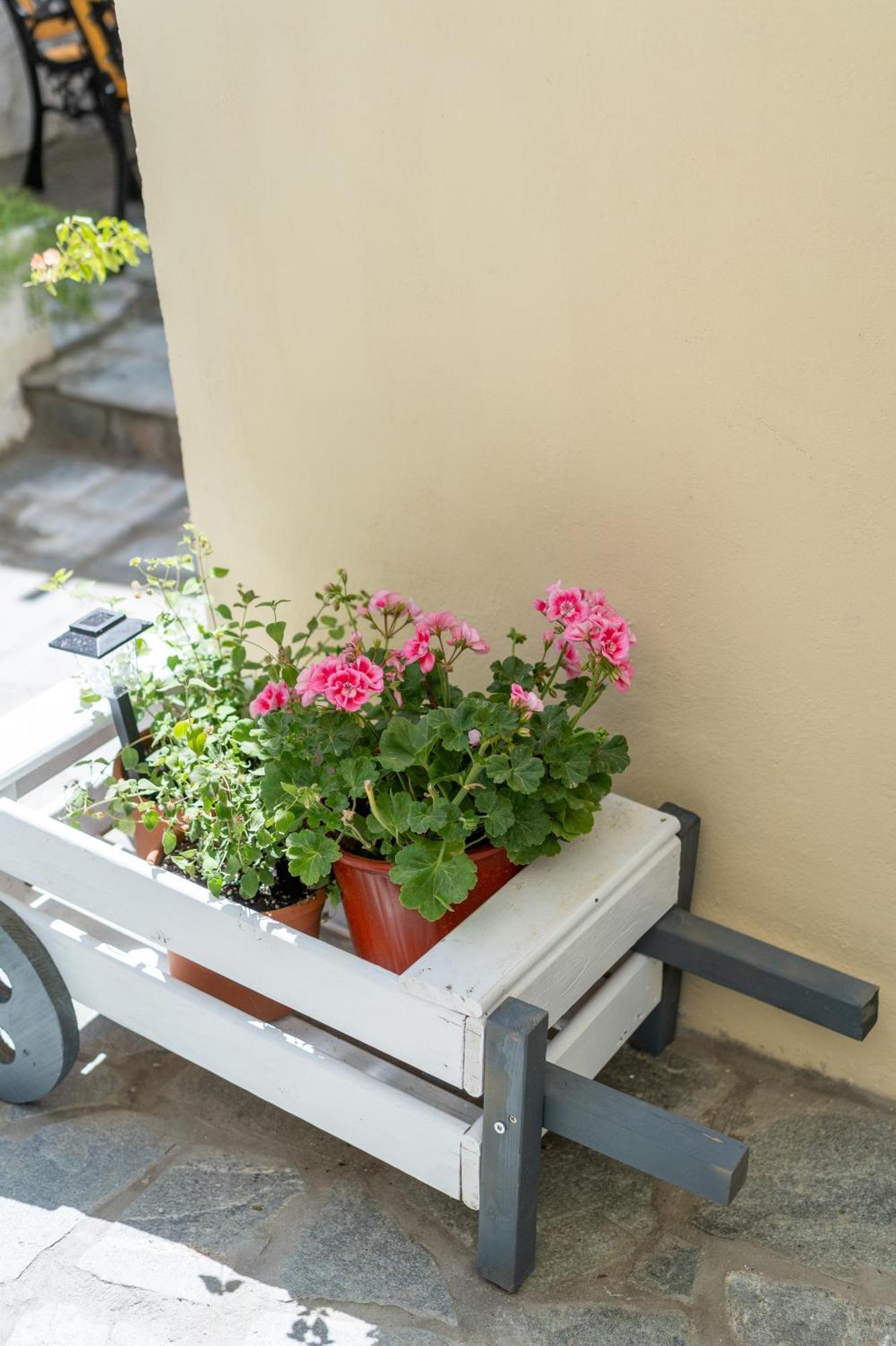 Spacious Home With Yard, Mytilene Lesvos מראה חיצוני תמונה